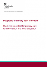 Diagnosis of urinary tract infections: Quick reference tool for primary care for consultation and local adaptation